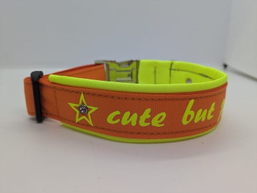 Personalisiertes Hundehalsband orange/gelb