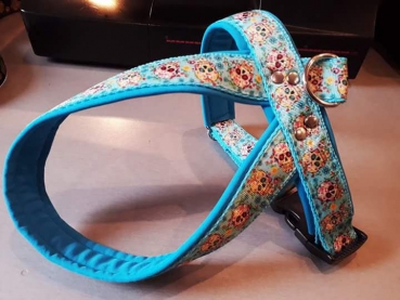 Preview: Führgeschirr Mexico Skull türkis Totenkopf Hundegeschirr gepolstert 3,5cm breit