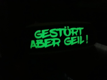 GlowGuard-Nachtleuchtendes Hundehalsband mit Wunschtext
