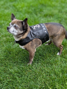 Rockerkutte / Lederjacke "Born to Be Wild" - Maßgeschneidertes Hundegeschirr aus Kunstleder