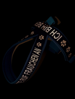 Preview: Personalisiertes Sicherheits-Hundegeschirr - Reflektierend & Selbstleuchtend - Handgefertigt nach Maß