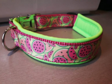 Hundehalsband Melone mit Polsterung 3,5cm breit