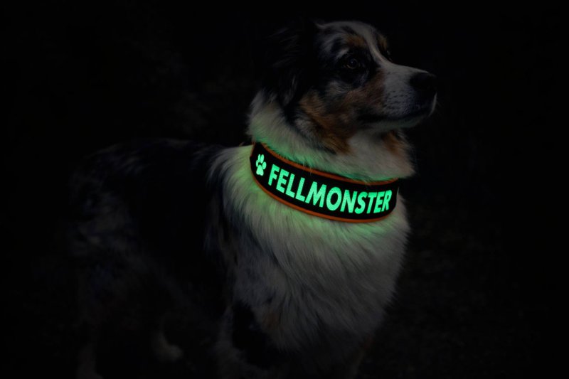 GlowGuard-Nachtleuchtendes Hundehalsband mit Wunschtext