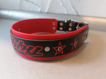 Personalisiertes Biothane Hundehalsband schwarz/rot