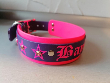 Preview: Biothane Namenshalsband  Hundehalsband mit Wunschtext pink/lila mit Wunschtext