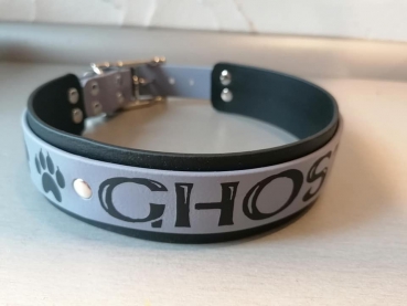 Personalisiertes Biothane Hndehalsband