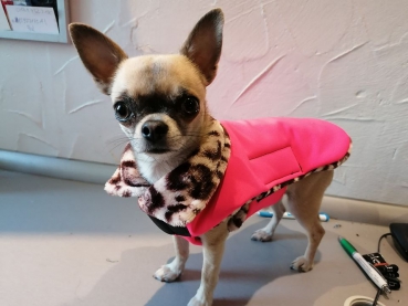 Hundemantel aus Softshell pink / leopard personalisiert