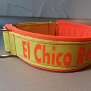 Hundehalsband personalisiert gelb orange