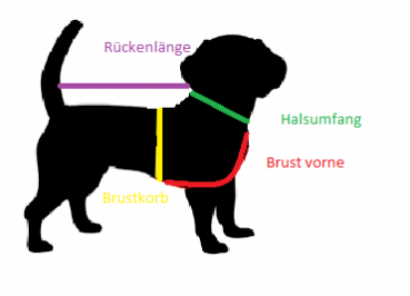 Hundemantel grau/ grün mit Wunschtext