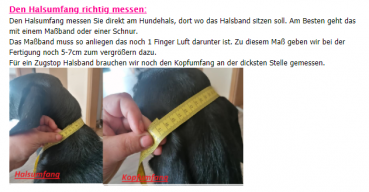 Hundehalsband mit Wunschtext Namenshalsband schwarz gold