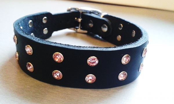 Echtleder/ Fettleder Hundehalsband Lederhalsband mit Strass