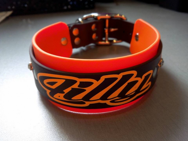 Personalisiertes Biothane Hundehalsband mit Strassnieten orange