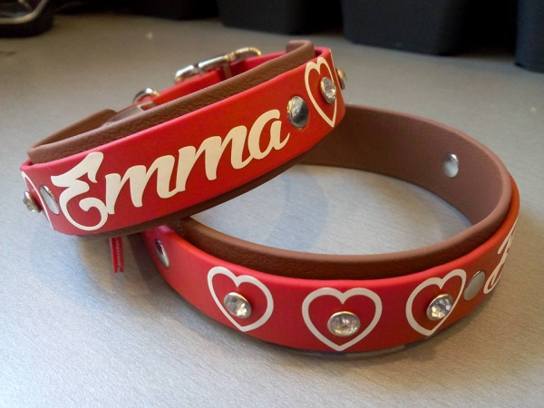 Personalisiertes Biothane Hundehalsband rot