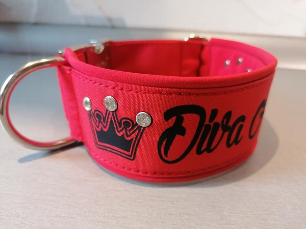 Hundehalsband Wunschtexthalsband Namenshalsband rot mit Polsterung