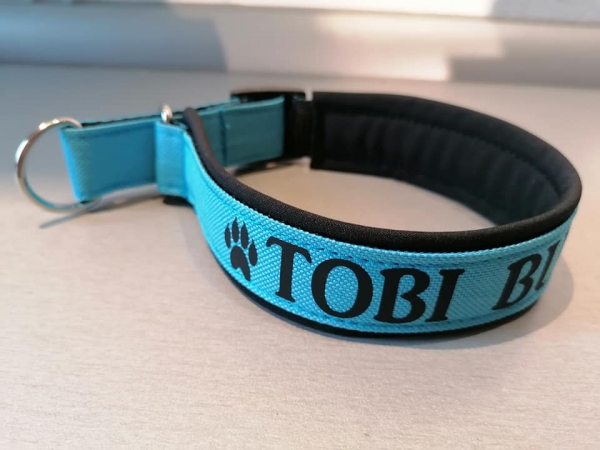 Hundehalsband, Namenshalsband Wunschtext mit Polsterung schwarz/türkis personalisiert