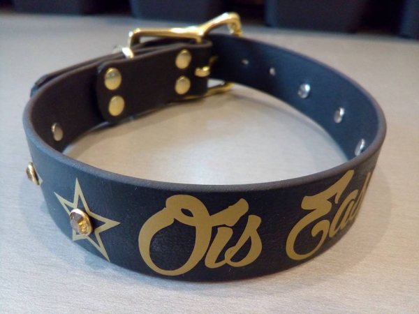 Personalisiertes Biothane Hundehalsband schwarz/gold