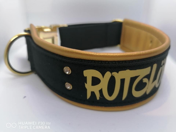 Personalisiertes Hundehalsband schwarz gold mit Polsterung