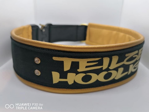 Personalisiertes Hundehalsband schwarz gold mit Polsterung