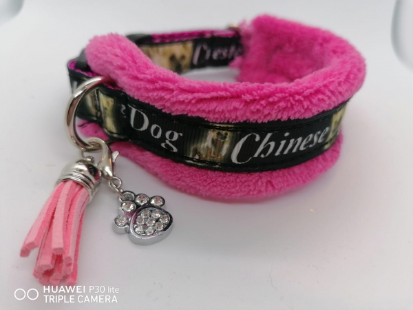 Chinese Crested Halsband mit Wellnessfleece