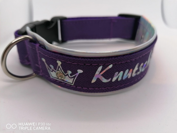 Hundehalsband mit Polsterung lila personalisiert