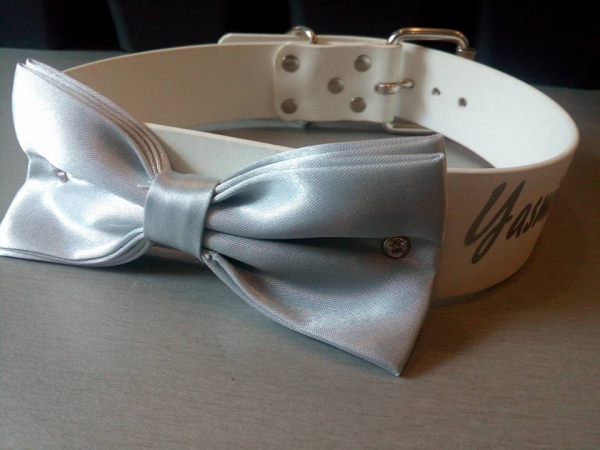 Personalisiertes Biothane Hochzeits Hundehalsband ab 2,5cm Breite