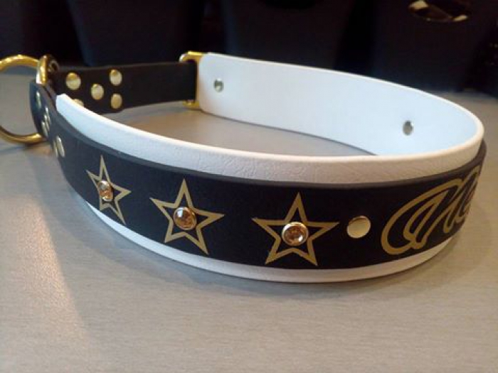 Personalisiertes Biothane Halsband