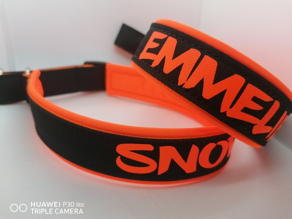 Neon-Edition Personalisiertes Hundehalsband