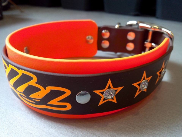 Personalisiertes Biothane Hundehalsband mit Strassnieten orange