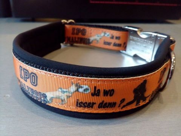 IPO Malinois Belgischer Schäferhund Schutzdienst Halsband 3,5cm breit mit Polsterung