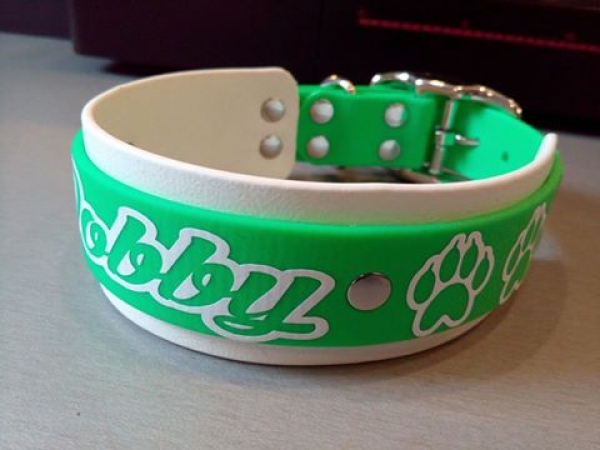 Personalisiertes Biothane Hundehalsband grün/weiß