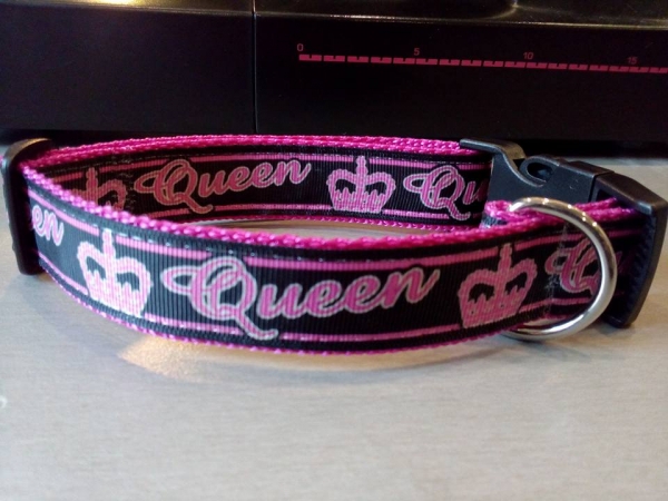 Queen Hundahalsband schwarz pink