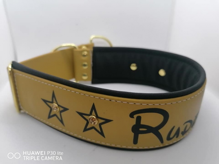 Biothane Halsband gold Hundehalsband