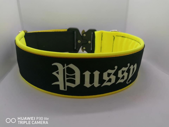 GlowGuard-Nachtleuchtendes Hundehalsband mit Wunschtext