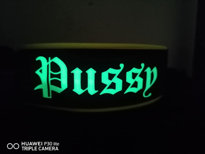GlowGuard-Nachtleuchtendes Hundehalsband mit Wunschtext