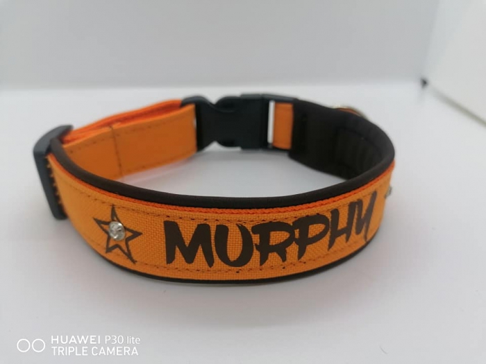 Personalisiertes Hundehalsband orange/braun