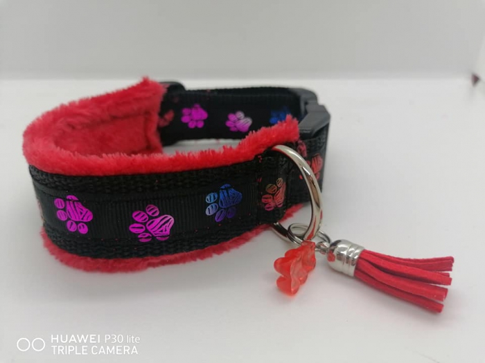 Pfötchen Hundehalsband