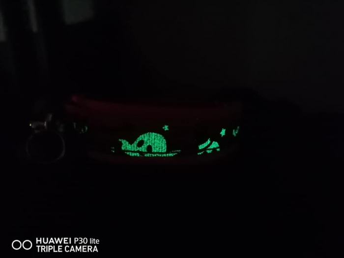 Helloween Hundehalsband glow in the dark