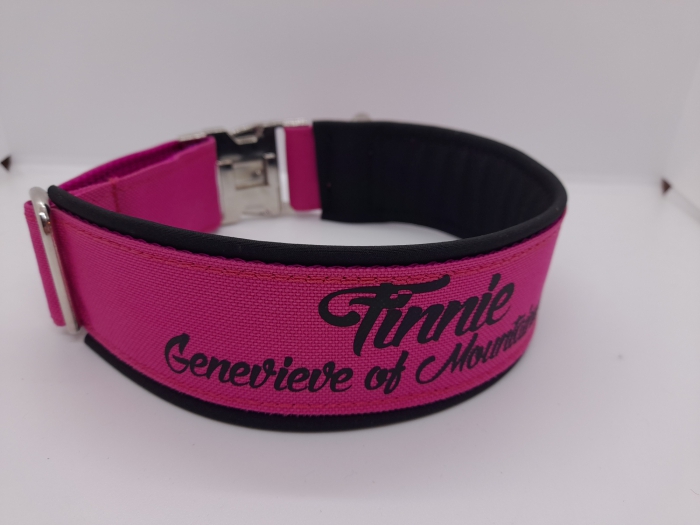 Wunschtext Hundehalsband personalisiert schwarz/ pink mit Polsterung