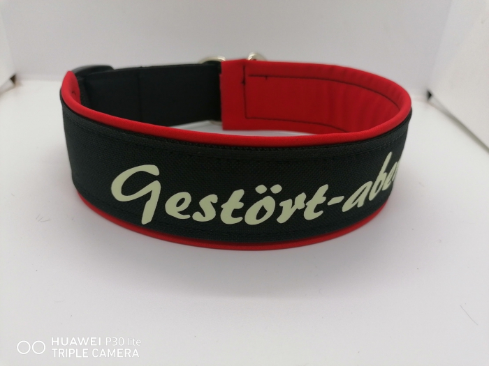 Personalisiertes Hundehalsband nachtleuchtend