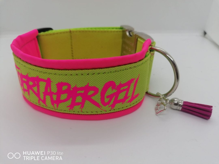 Personalisiertes Hundehalsband pink/grün