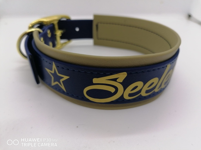 Biothanehalsband Hundehalsband personalisiert navy/gold