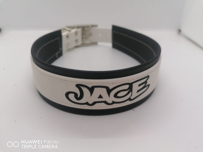 Personalisiertes Biothane Hundehalsband