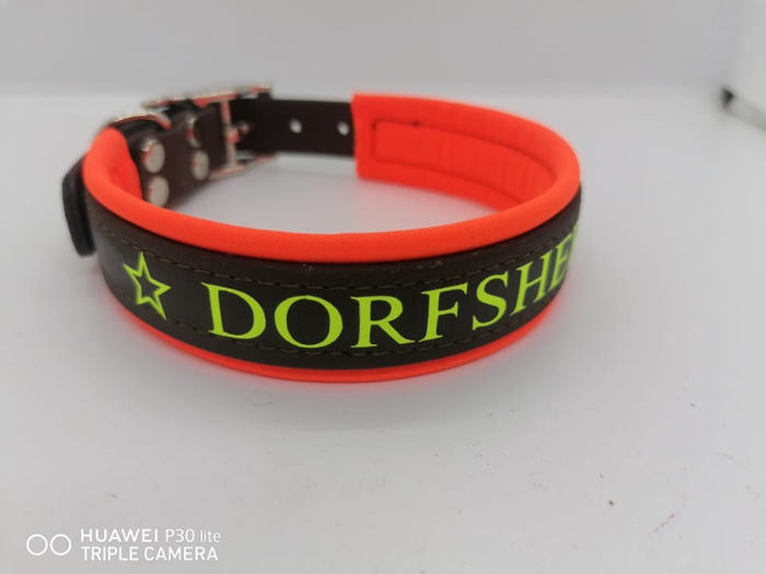 Biothane Halsband personalisiert