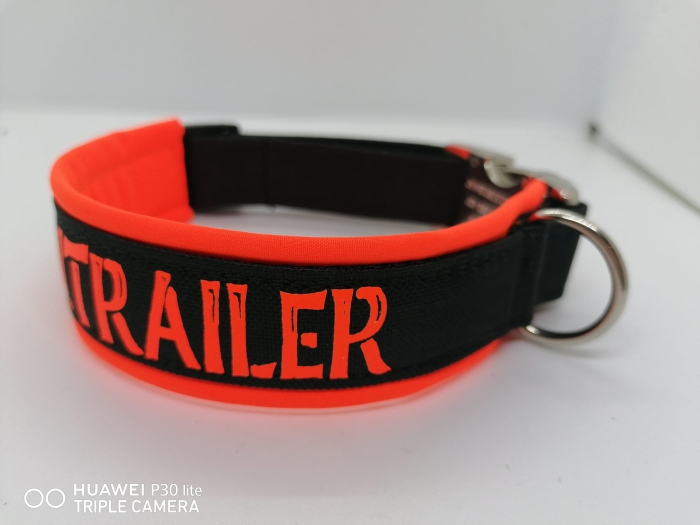 Personalisiertes Hundehalsband mit Polsterung orange/ schwarz
