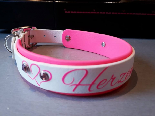 Personalisiertes Hundehalsband aus Biothane