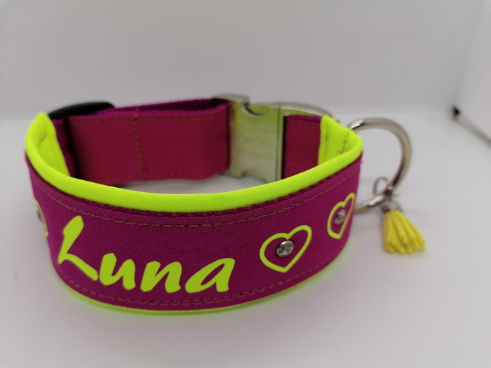 Hundehalsband pink-gelb mit Wunschtext