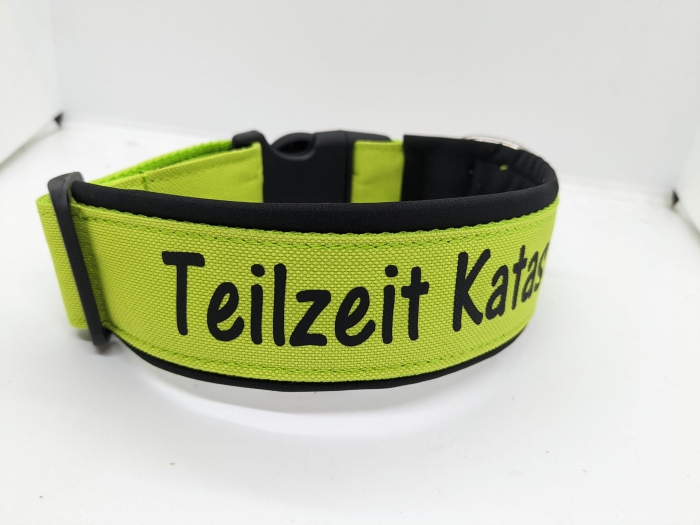 Personalisiertes Hundehalsband mit Polsterung schwarz-grün