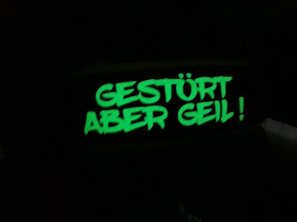 GlowGuard-Nachtleuchtendes Hundehalsband mit Wunschtext