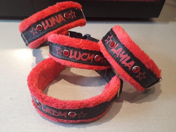 Hundehalsband Namenshalsband gepolstert rot/schwarz personalisiert