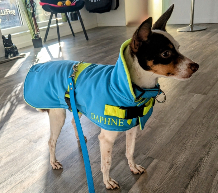 Hundemantel aus wind-und wasserabweisendem Softshell mit Wunschtext